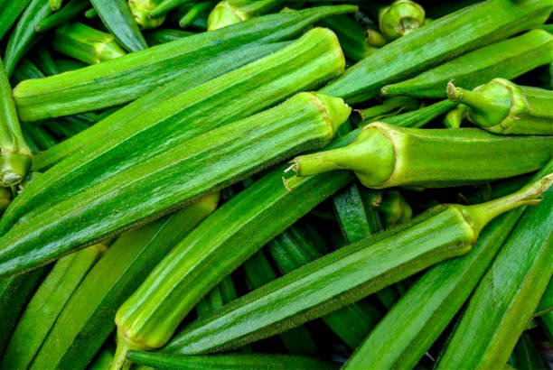 Fresh okra on the market in India. Close-up.