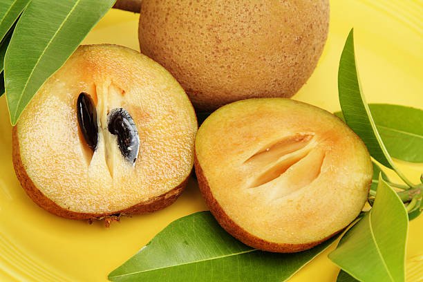 Sapodilla, Manikara Zapota,  is a popular fruit in Mexico, South America, the Caribbean, and Middle Eastern countries like India and Pakistan. Also known as sapota, zapota, and chikoo. This image shows a sliced fuit in foreground with seeds in one side. A  whole, uncut fruit is in the background, The fruit is on a yellow platter and surrounded by several sapodilla tree leaves. Fruit is very sweet when ripe and has a malty, caramel flavor.